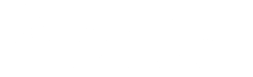 Seyidoğlu Koltuk Yıkama